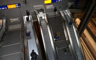 Wohin geht unsere Sprache??? – eine Bitte um mehr Sorgfalt