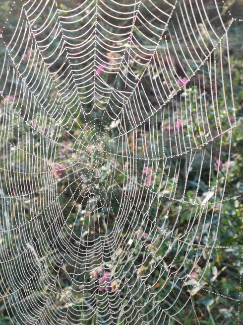 Netzwerk Frieden