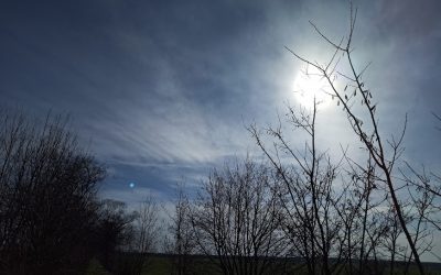 Apocalypse now? – oder: Das Leben ist kein Ponyhof