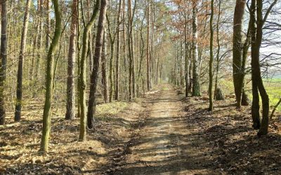 Wohin des Weges? – oder: Adieu Hauptstadt!
