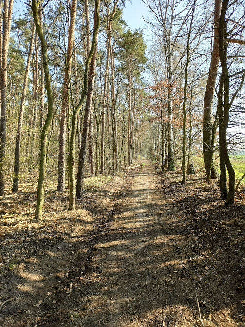 Wohin des Weges? – oder: Adieu Hauptstadt!